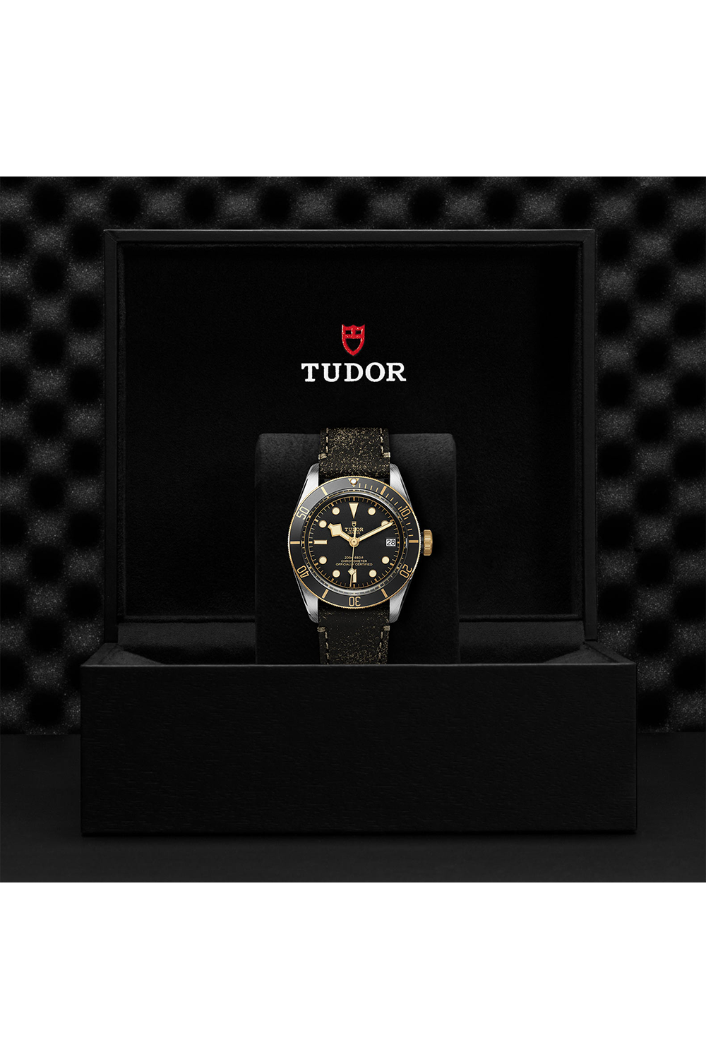 TUDOR Black Bay S&G #M79733N-0007 [Official Retailer, 5-Yr Warranty]