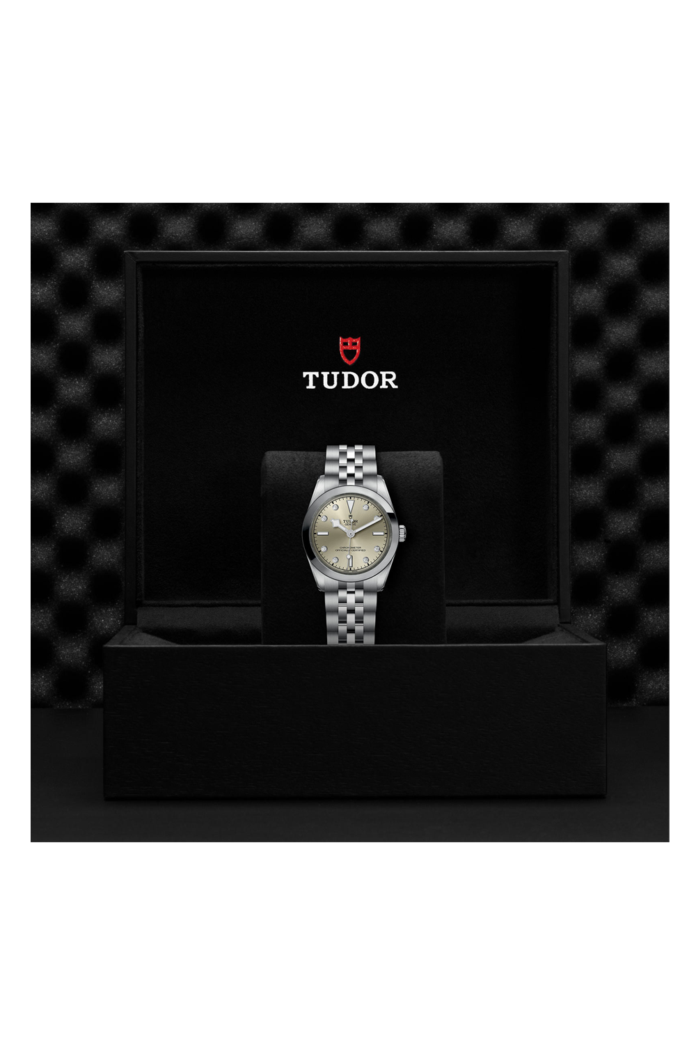 TUDOR Black Bay One 31 (M79600-0006)