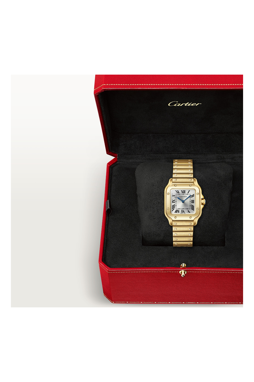 Cartier Santos de Cartier (WGSA0107)