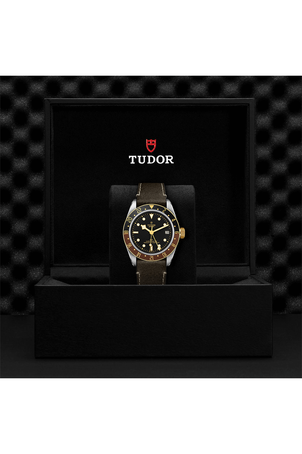 TUDOR Black Bay GMT Steel and Gold (M79833MN-0003)