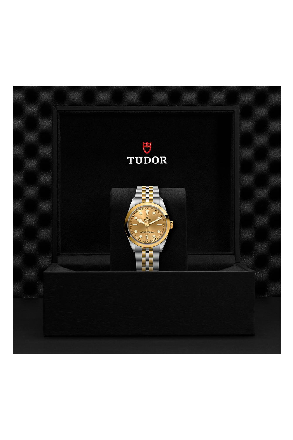 TUDOR Black Bay One 36 S&G (M79643-0005)