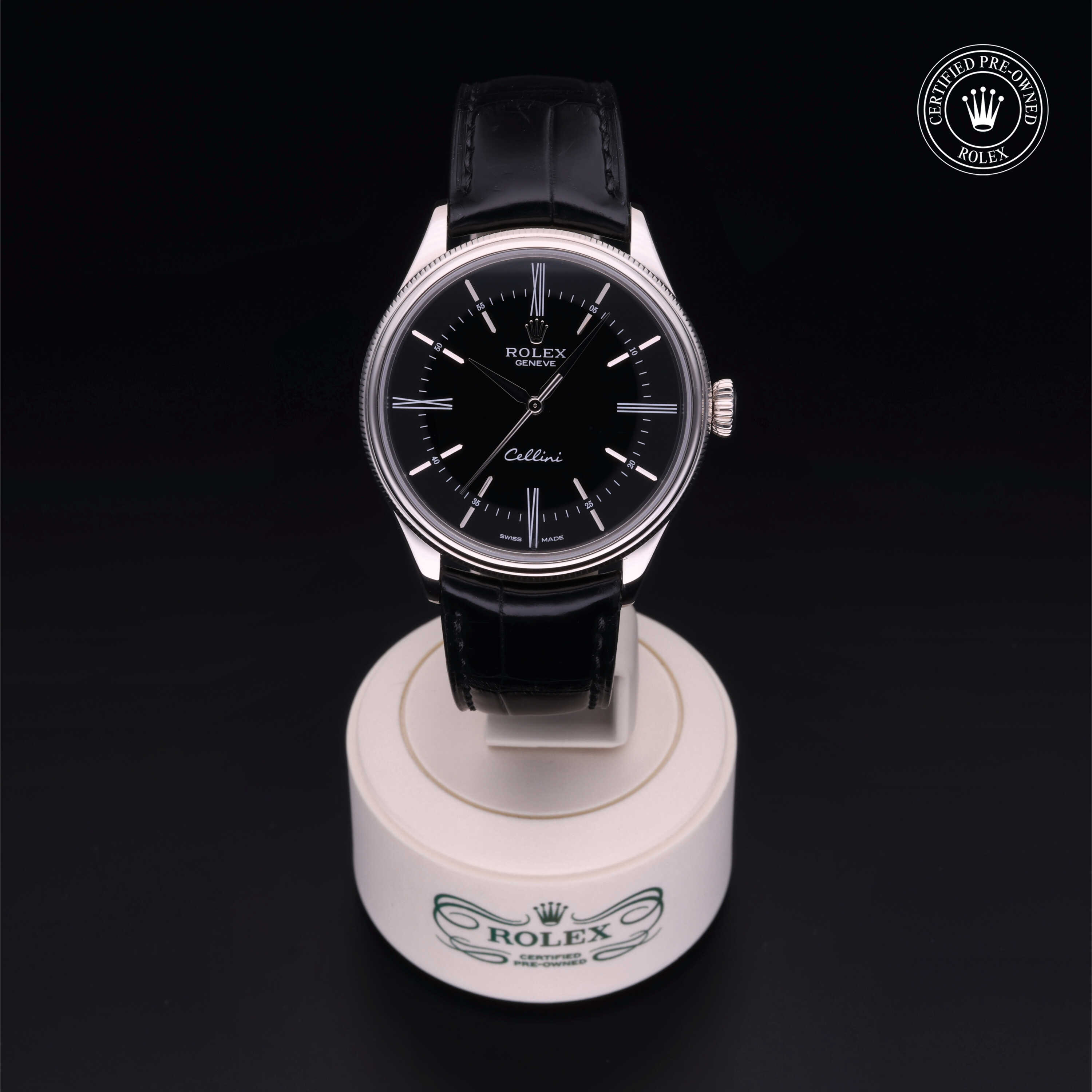 健康・医学 ROREX MANIA 2020 Osvaldo Patrizzi and Guido Mondani Rolex Mania Story | SKU