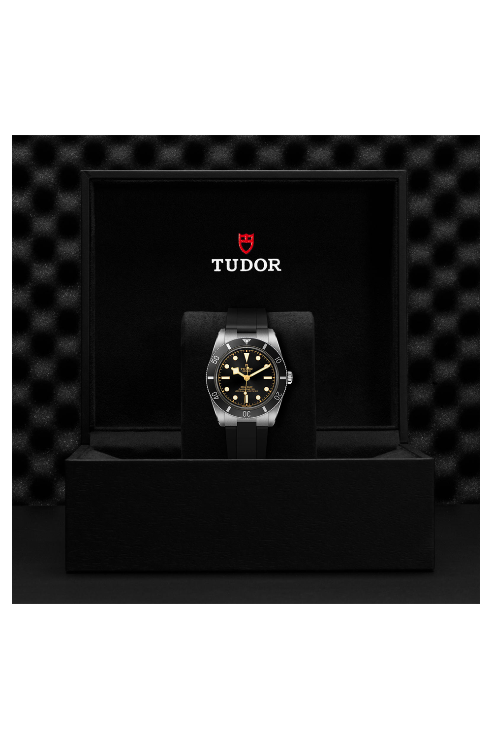 TUDOR 箱 TUDOR Black Bay 54 (M79000N-0002)