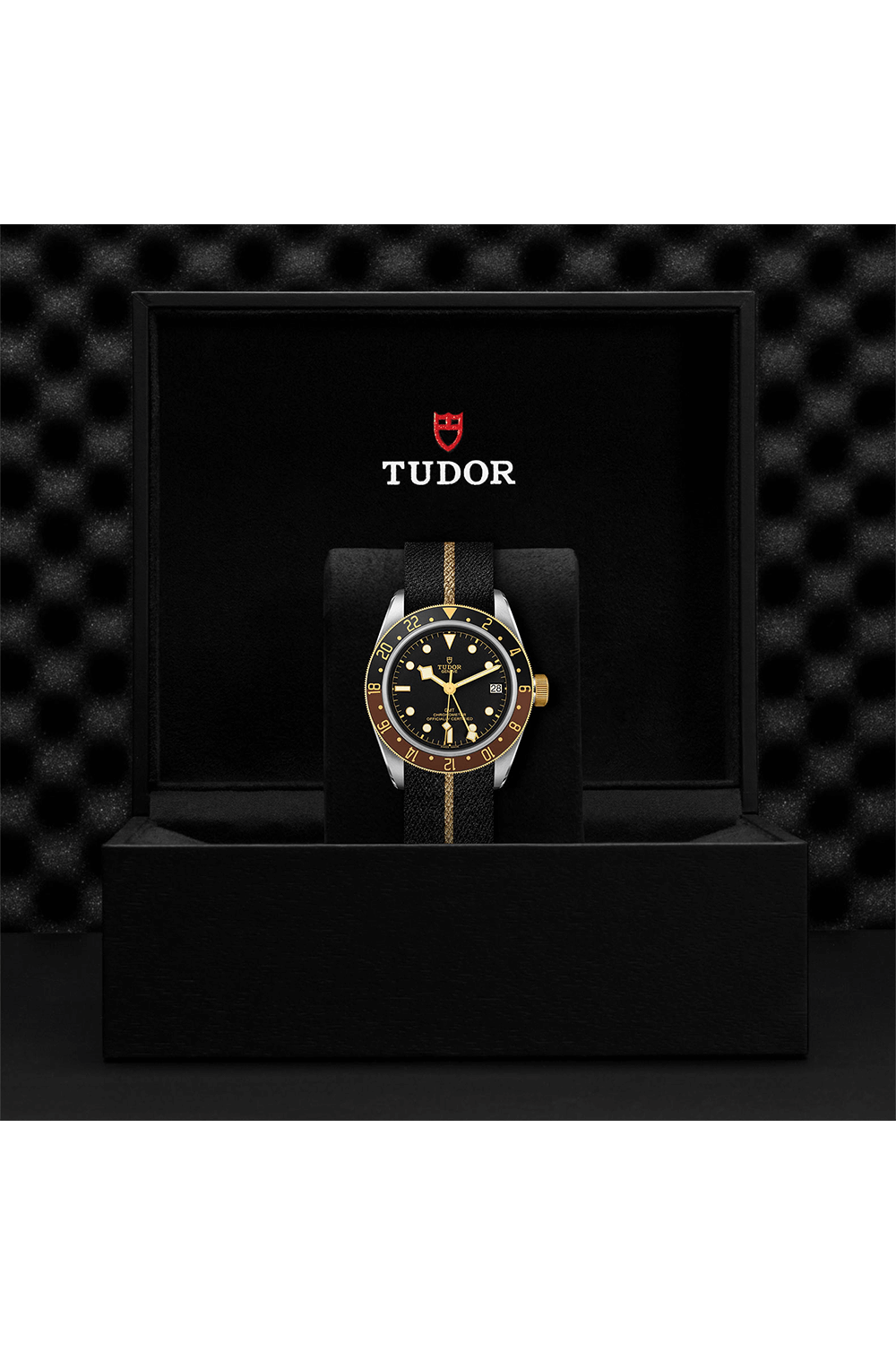 TUDOR Black Bay GMT Steel and Gold (M79833MN-0004)