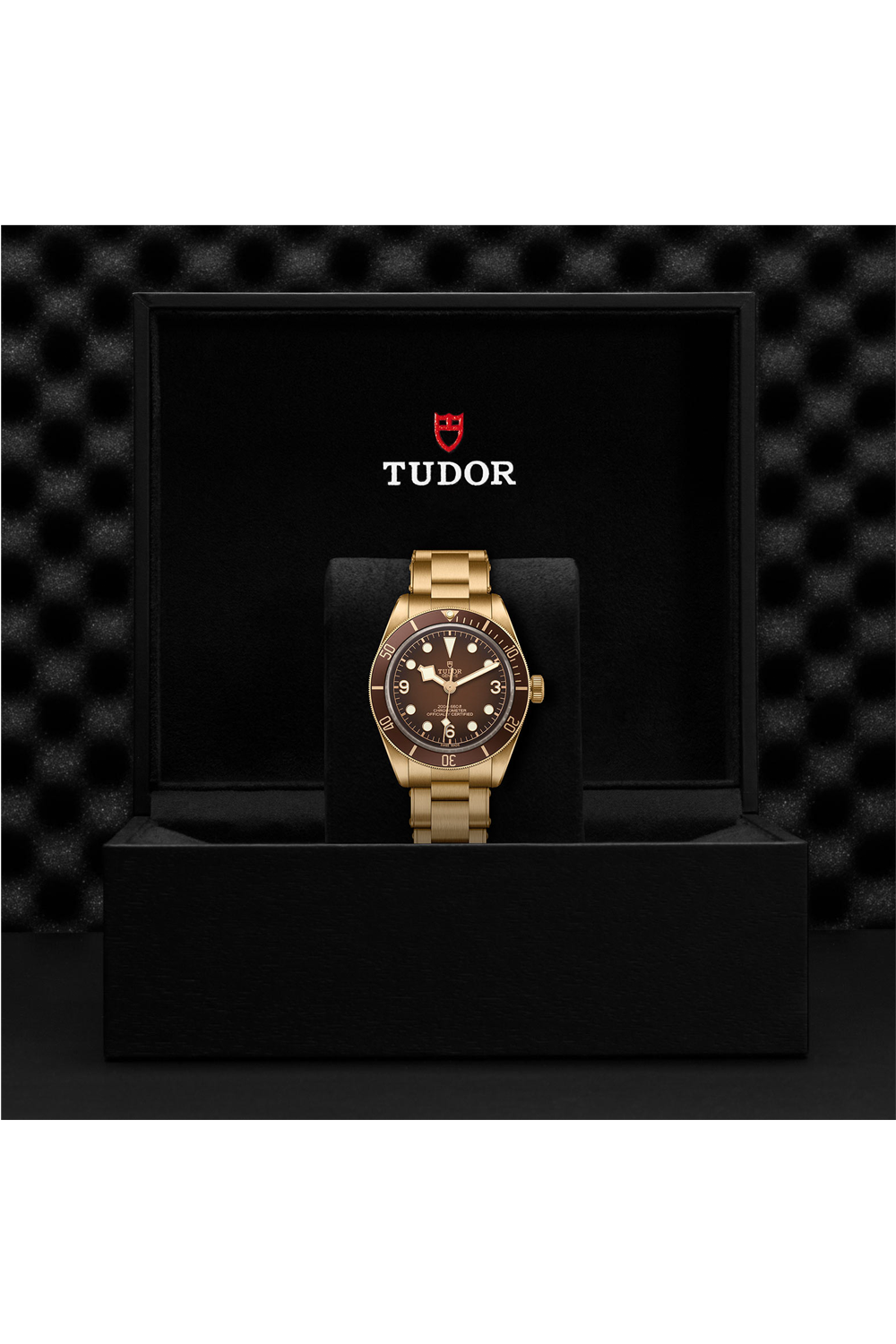 TUDOR Black Bay Fifty-Eight Bronze - Boutique Exclusive (M79012M-0001)