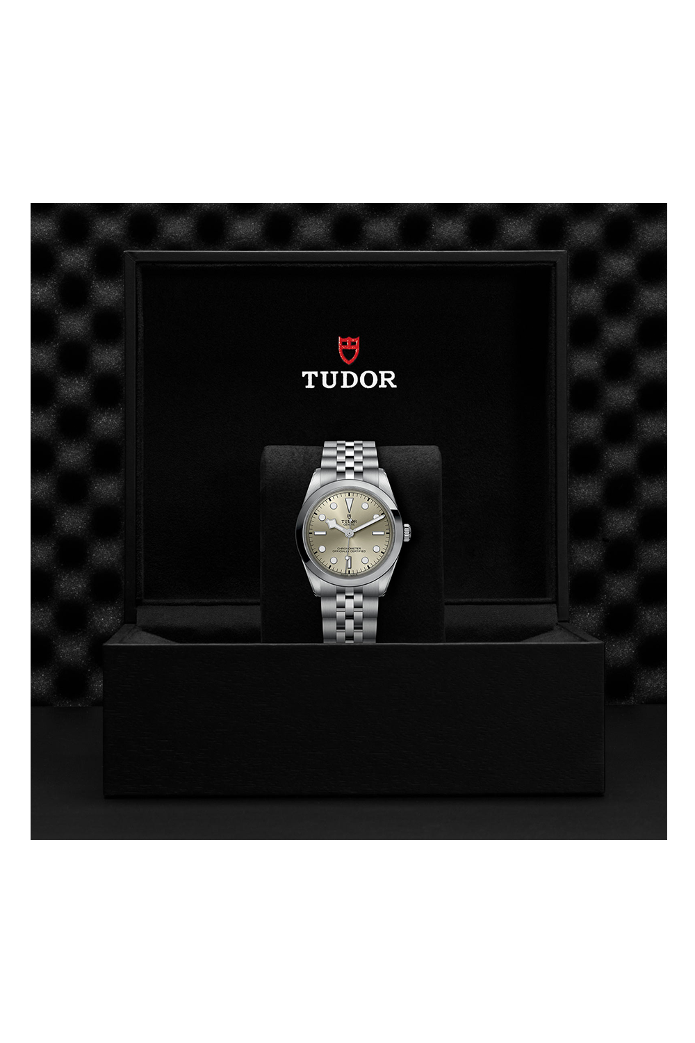 TUDOR Black Bay One 36 (M79640-0003)