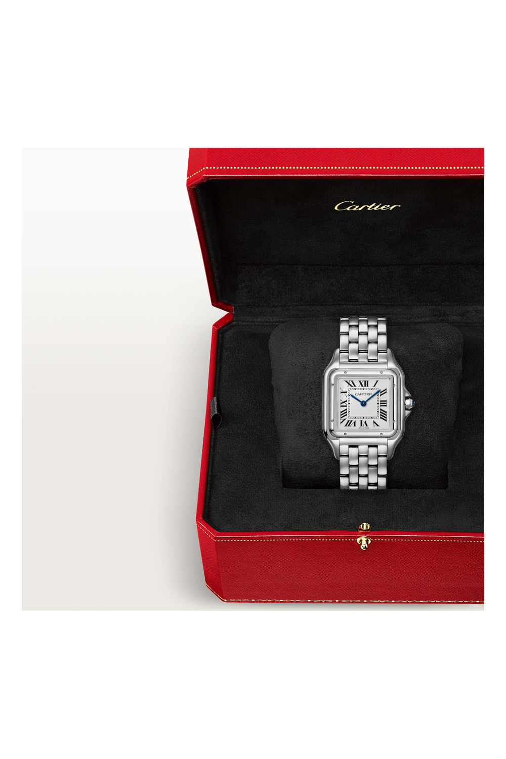 wspn0016-cartier-panthere-de-