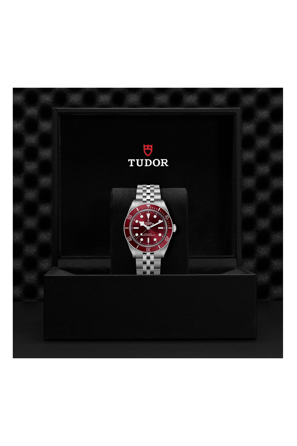 TUDOR Black Bay 58 (M7939A1A0RU-0001)
