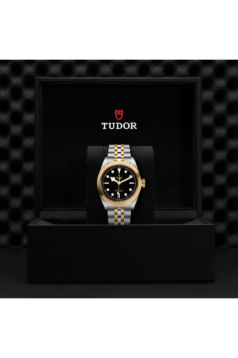 TUDOR Black Bay 41 S&G #M79543-0001 [Official Retailer]