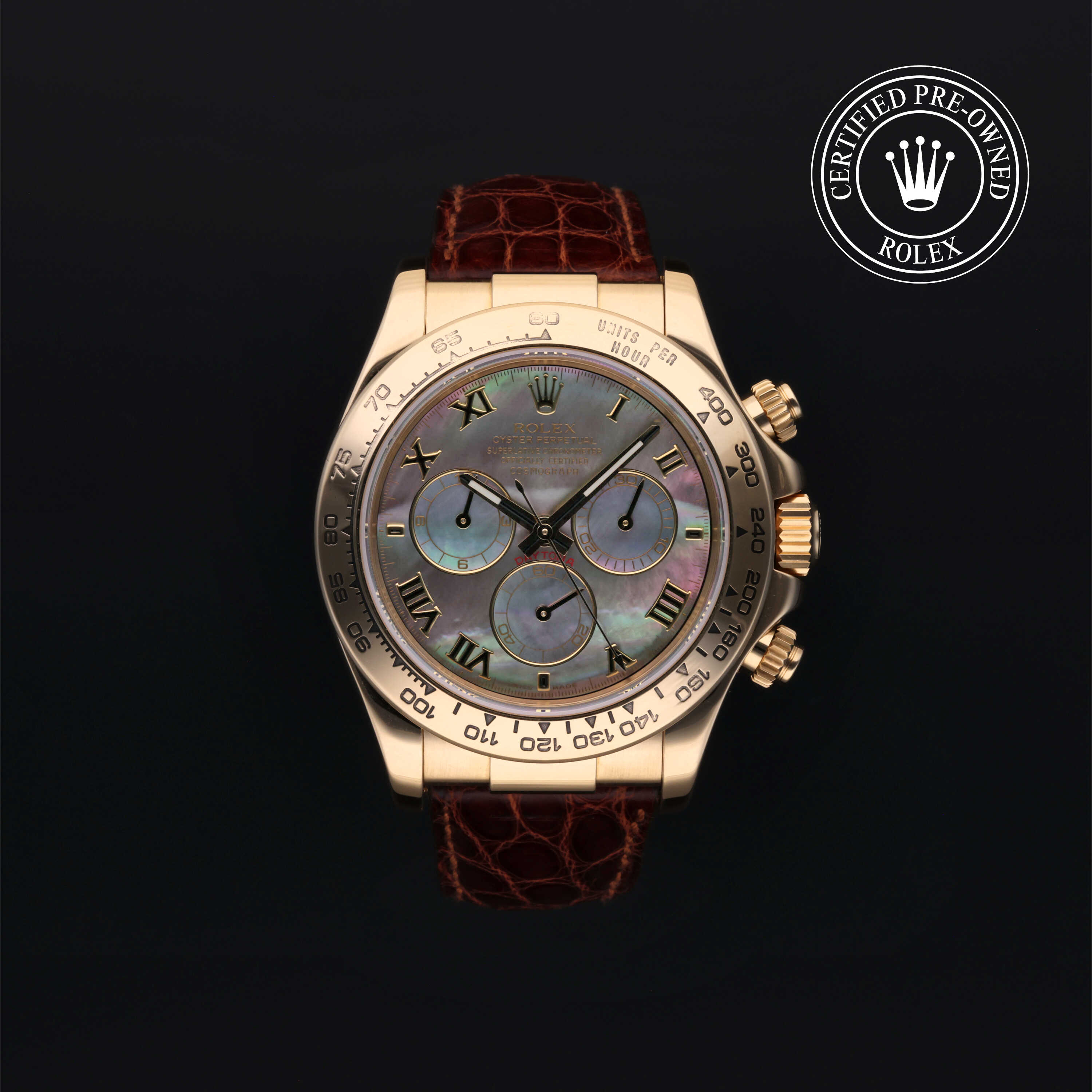 Daytona