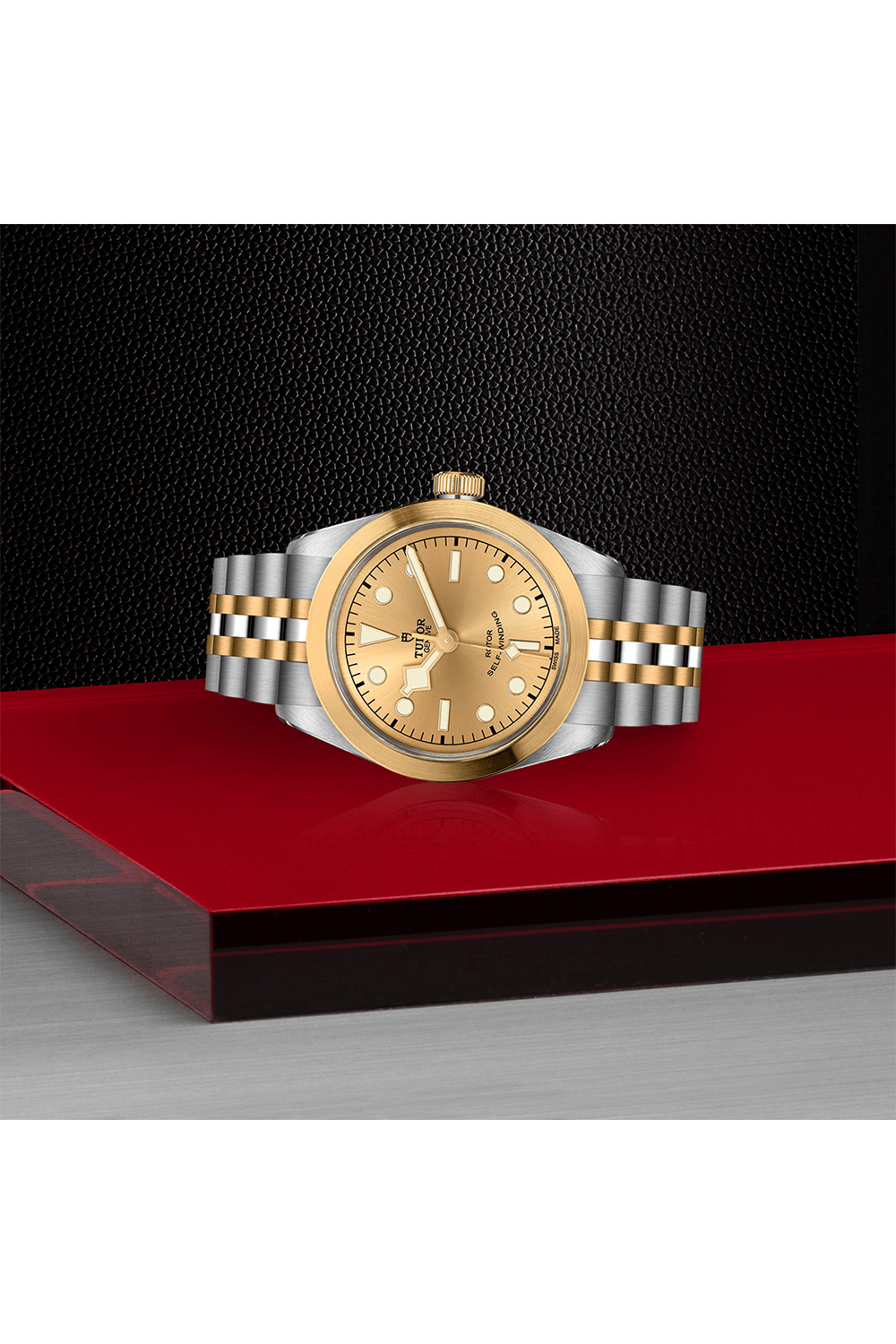 TUDOR Black Bay 36 S&G #M79543-0002 [Official Retailer]