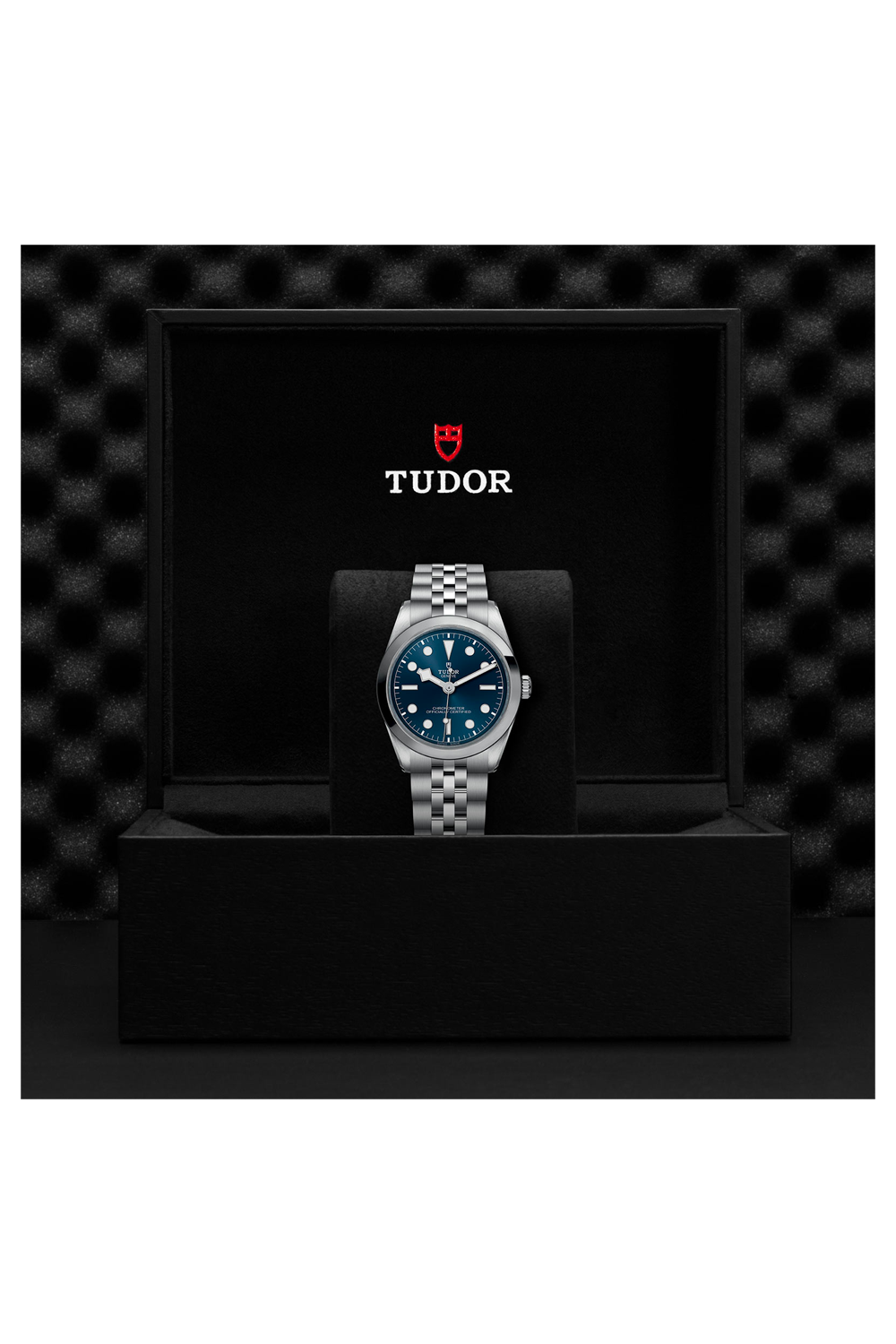 TUDOR Black Bay One 36 (M79640-0002)