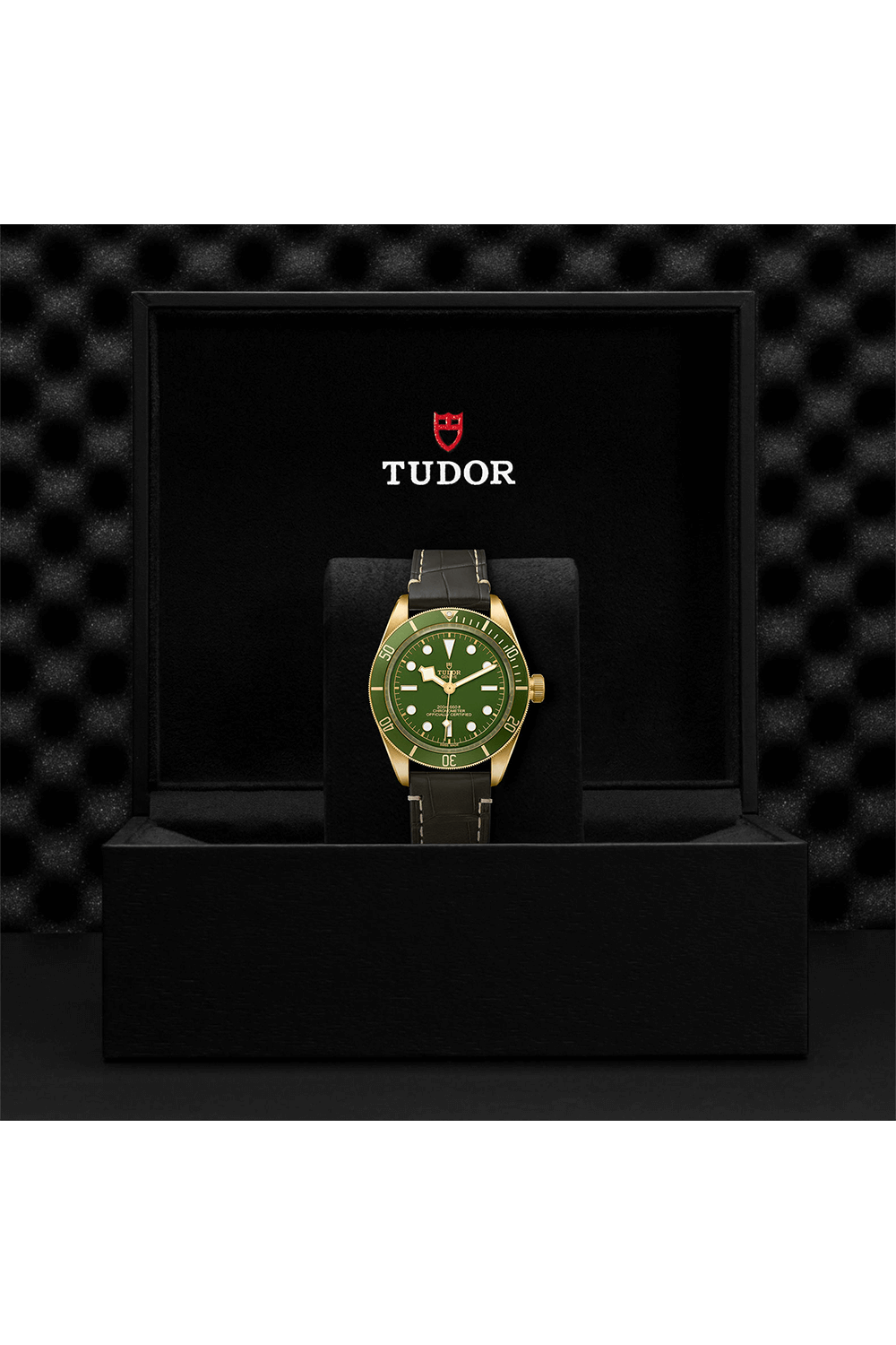 TUDOR Black Bay Fifty-Eight 18K #M79018V-0003 [Official Retailer]