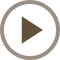 Play Icon