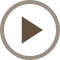 Play Icon
